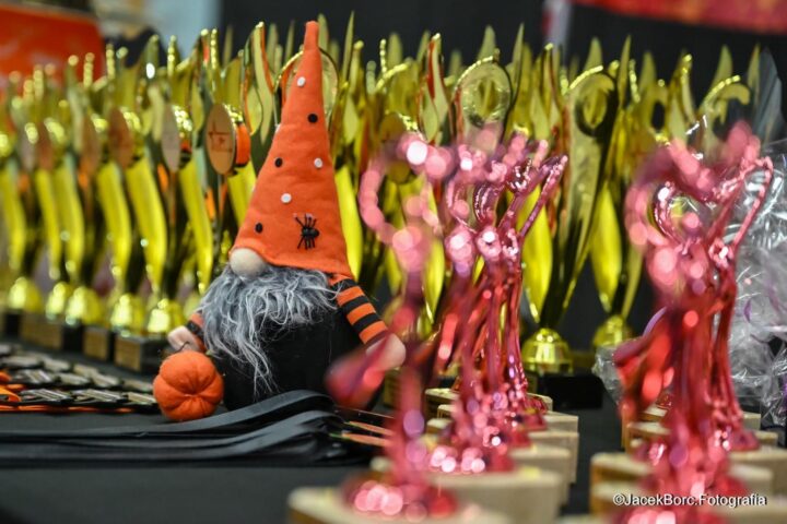 III MIĘDZYNARODOWE ZAWODY W GIMNASTYCE ARTYSTYCZNEJ„CUKIEREK ALBO PSIKUS” w Gliwicach